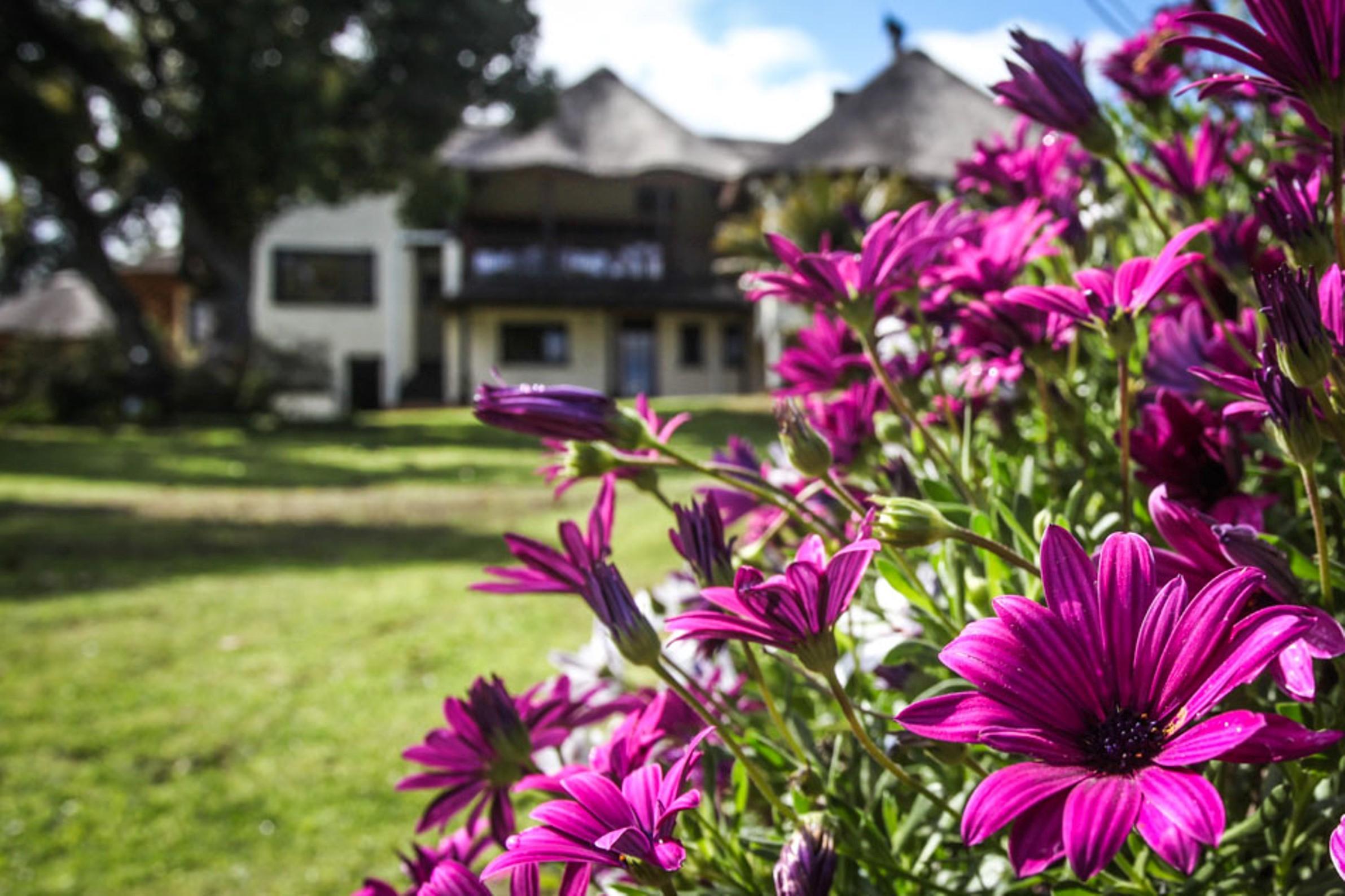 Winelands Villa Guesthouse And Cottages Somerset West Exteriör bild