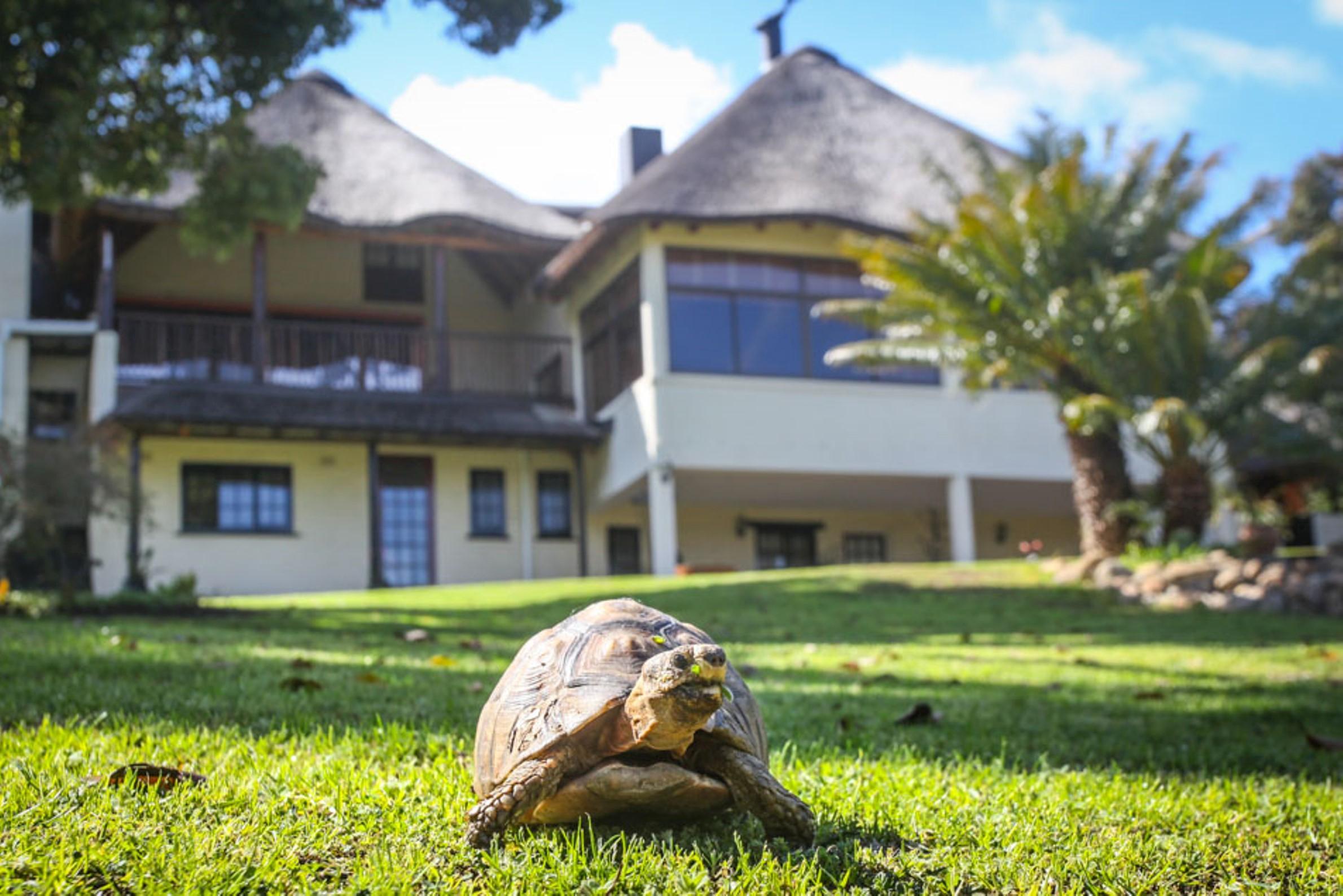 Winelands Villa Guesthouse And Cottages Somerset West Exteriör bild