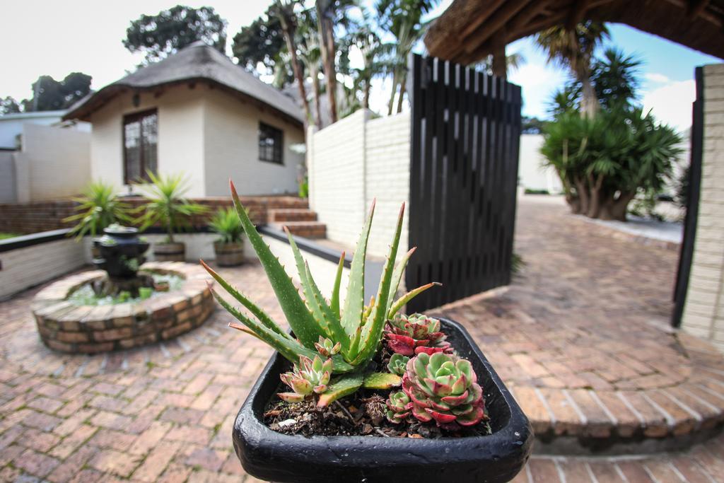 Winelands Villa Guesthouse And Cottages Somerset West Rum bild