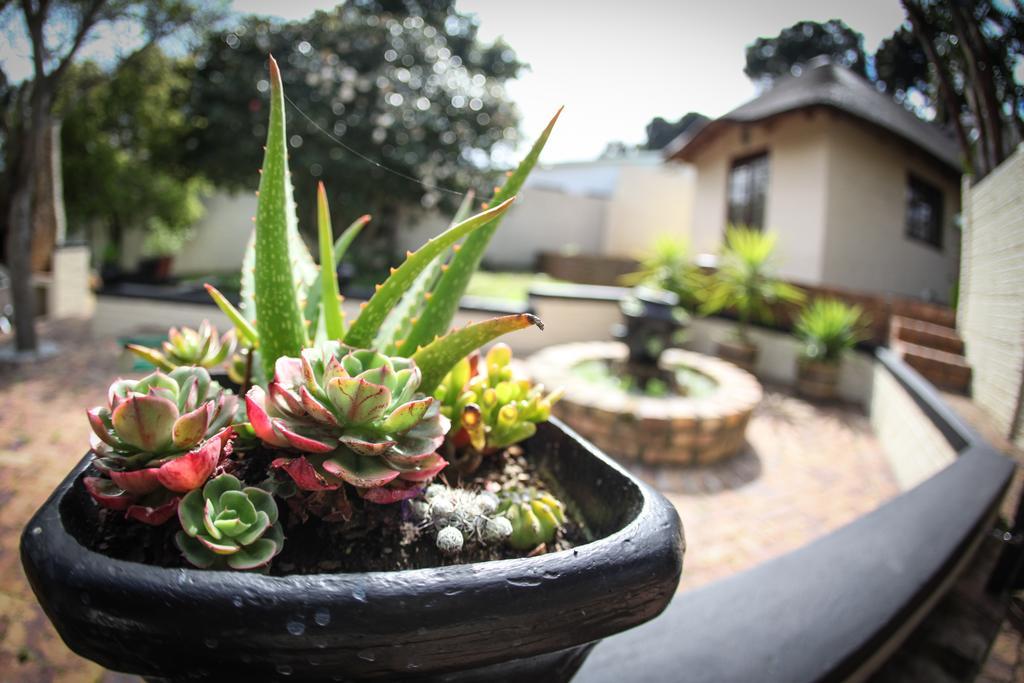 Winelands Villa Guesthouse And Cottages Somerset West Exteriör bild