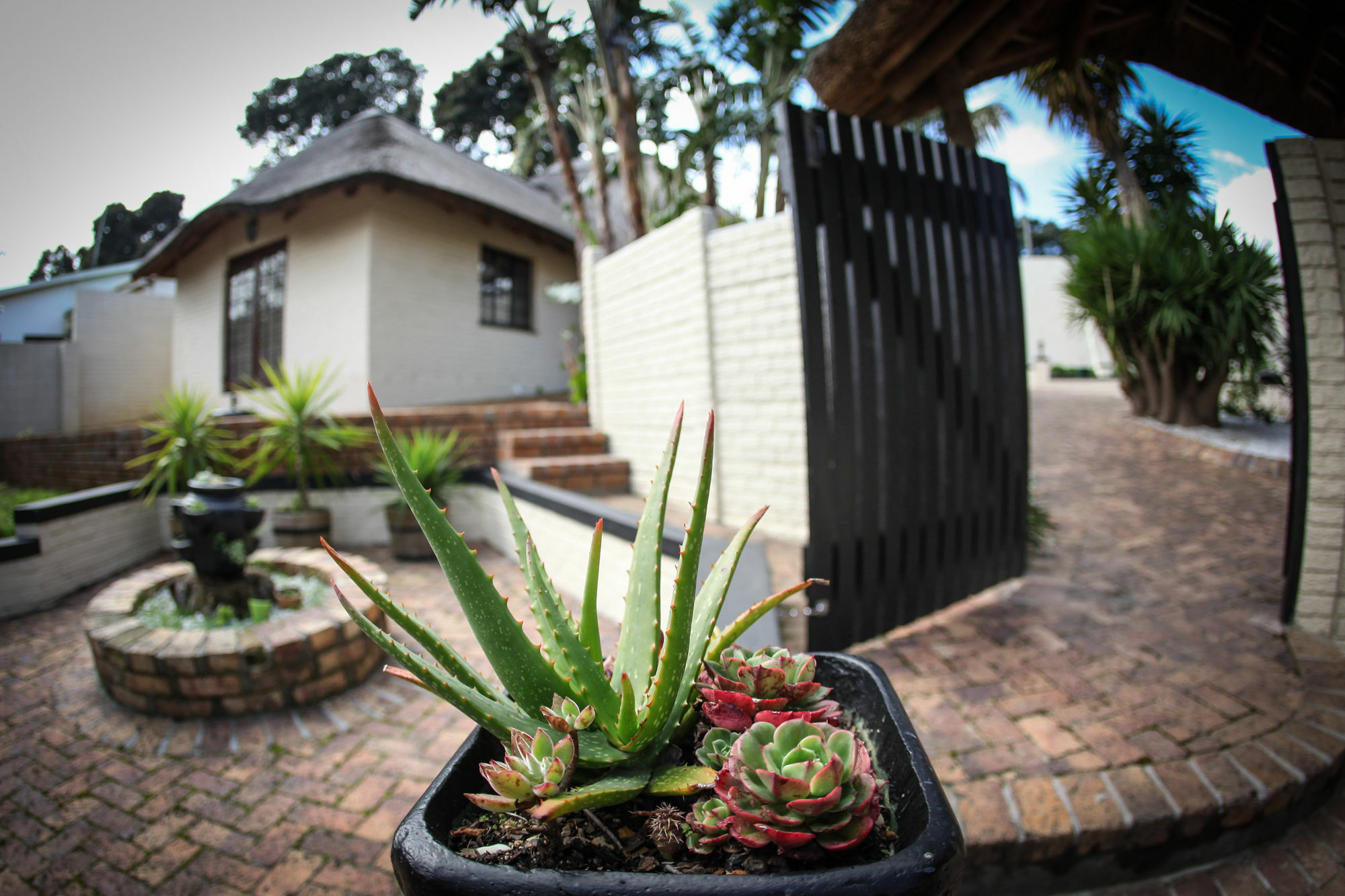 Winelands Villa Guesthouse And Cottages Somerset West Exteriör bild